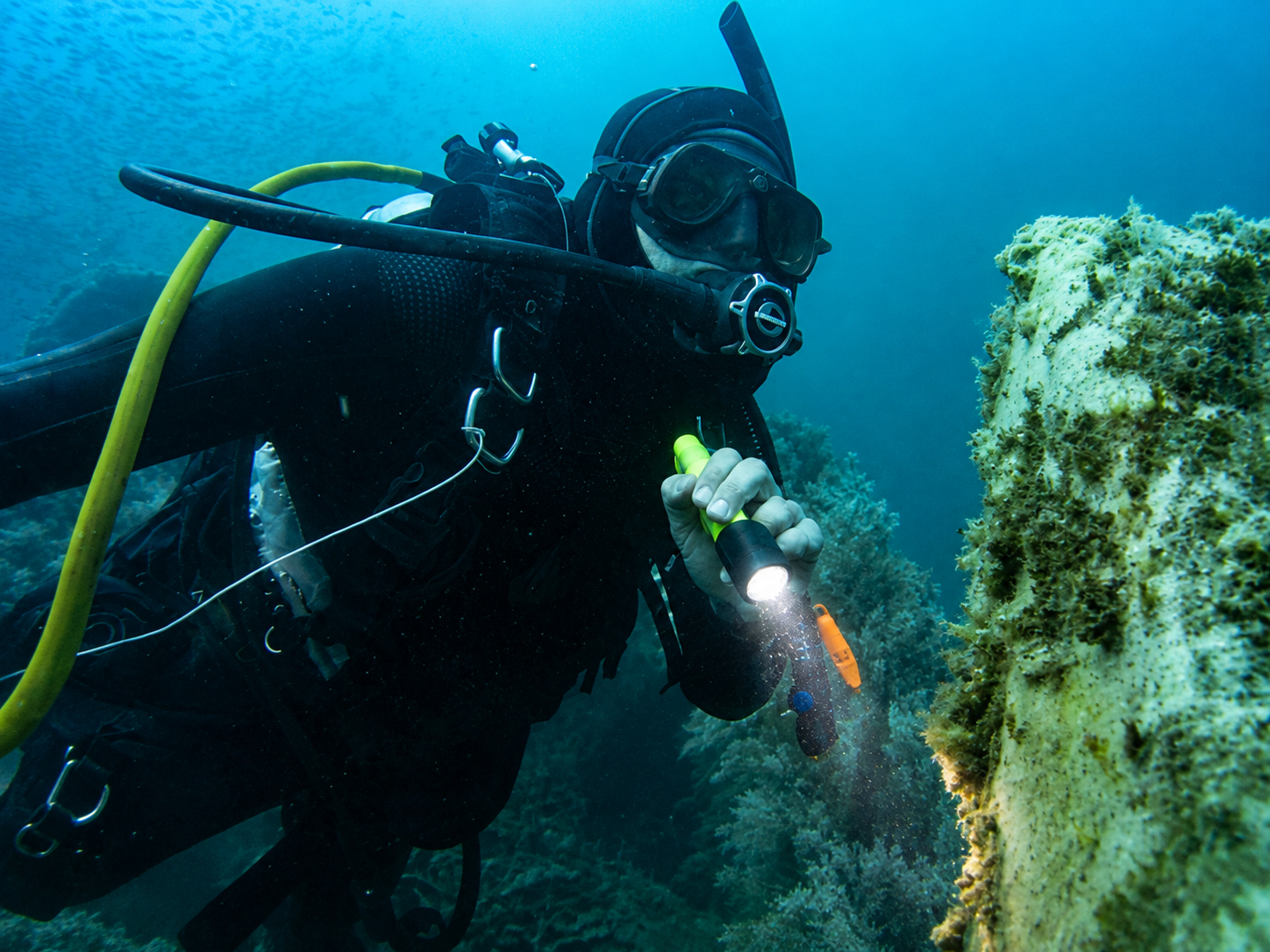 HASBUN CONSULTING specialists conducting underwater field operations
